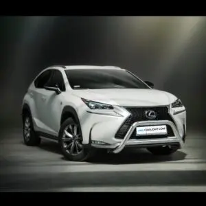 Lexus NX F-Sport 2014< kaitseraud vaherauaga
